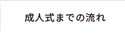 成人式までの流れ